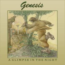 Genesis : A Glimpse in the Night